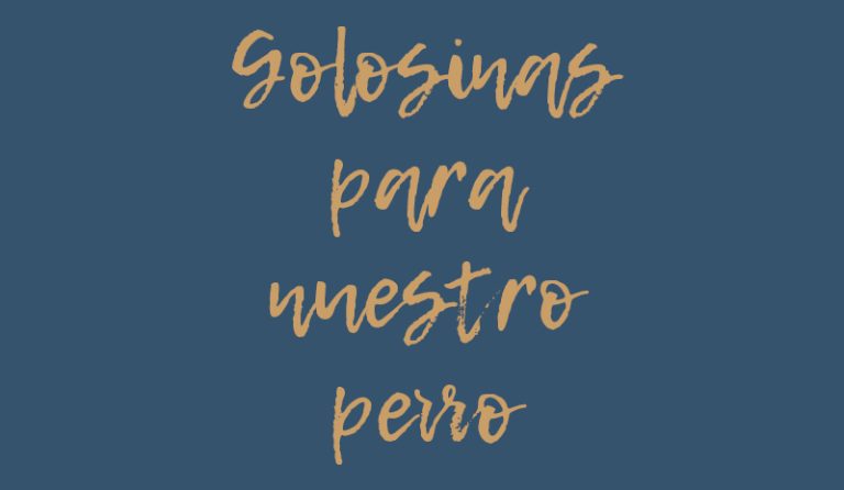 andabaxey cachorros cocker spaniel