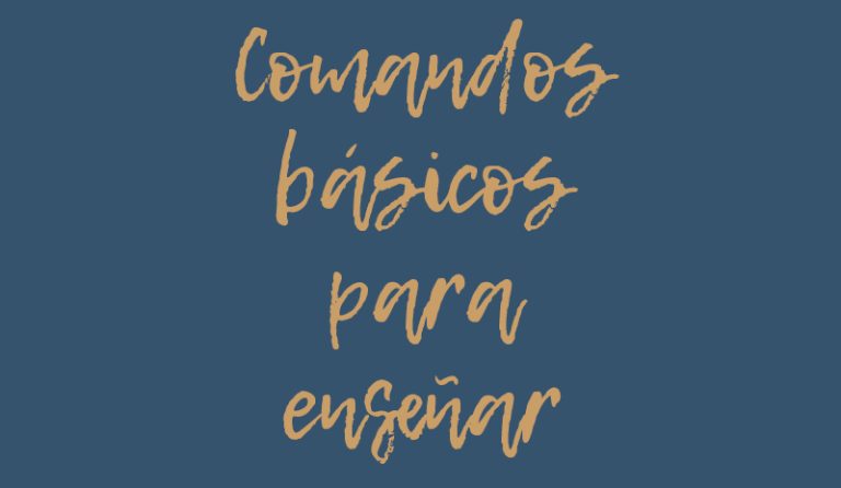 cachorros cocker spaniel