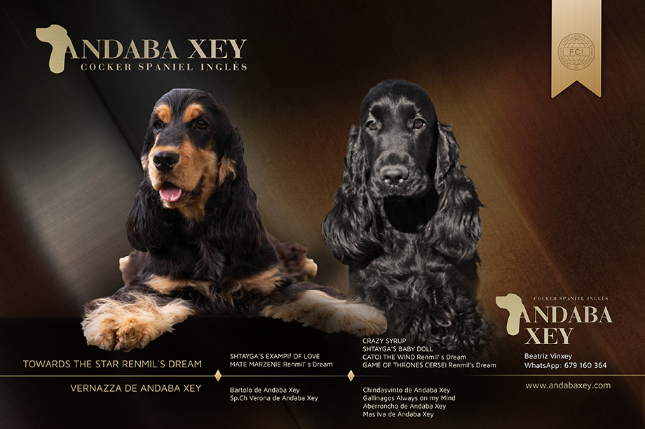 AndabaXey-Portada-Camada-DimitrixKepa-920x612